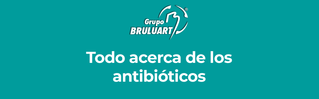 Todo acerca de los antibióticos