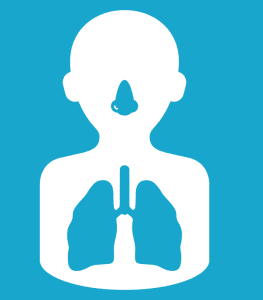 vías respiratorias